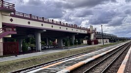 IMG_5202.jpeg