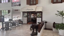 IMG_5215.jpeg
