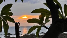 IMG_5235.jpeg