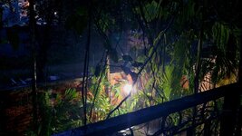 20250906_181731.jpg