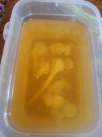 DSCN2592~2.JPG DSCN2592~2.JPG