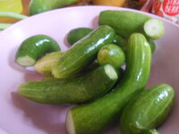 DSCN2594.JPG DSCN2594.JPG