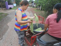 DSCN2387.JPG DSCN2387.JPG