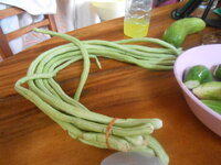 DSCN2595.JPG DSCN2595.JPG