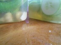 DSCN2601.JPG DSCN2601.JPG