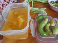 DSCN2593.JPG DSCN2593.JPG