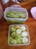 DSCN2599~2.JPG DSCN2599~2.JPG