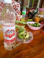 DSCN2596~3.JPG DSCN2596~3.JPG