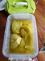 IMG_20240413_113134_825.jpg IMG_20240413_113134_825.jpg