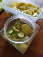 IMG_20240413_113204_886.jpg IMG_20240413_113204_886.jpg