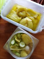 IMG_20240413_113216_844.jpg IMG_20240413_113216_844.jpg