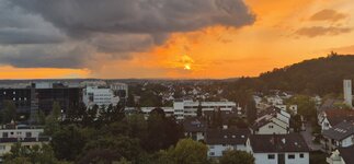 20250910_193533(1).jpg