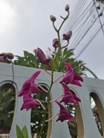 20250906_133848.jpg