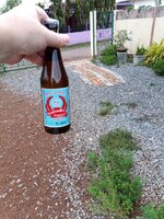 IMG_20230603_175428_321.jpg