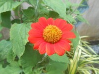 DSCN2921.JPG