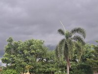 20250912_063821.jpg