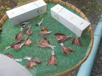 DSCN2751.JPG