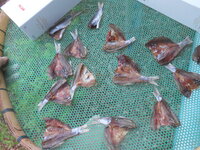 DSCN2753.JPG