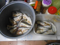 DSCN2723.JPG