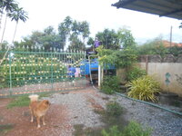 DSCN2756.JPG