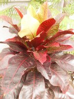 DSCN2740~2.JPG