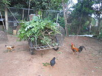 DSCN2912.JPG