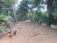 DSCN2913.JPG