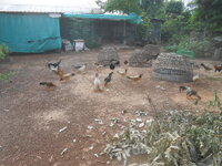 DSCN2764.JPG