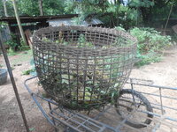 DSCN2781.JPG