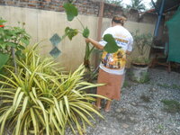 DSCN2784.JPG