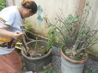 DSCN2786.JPG