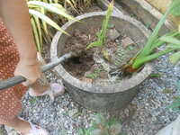 DSCN2787.JPG