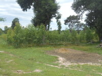 DSCN2794.JPG
