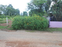 DSCN2788.JPG