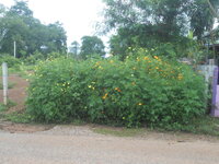 DSCN2789.JPG