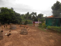 DSCN2812.JPG
