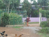DSCN2813.JPG