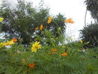 DSCN2809.JPG