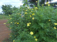 DSCN2810.JPG