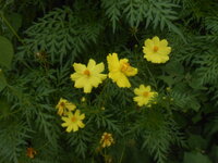 DSCN2807.JPG