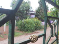 DSCN2816.JPG