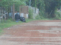 DSCN2853.JPG