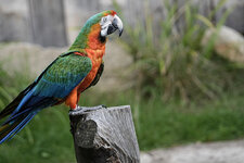 DSC07274.jpg