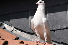 DSC07177.jpg