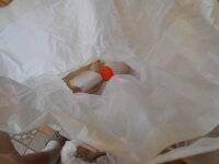 DSCN2838.JPG