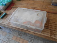 DSCN2834.JPG