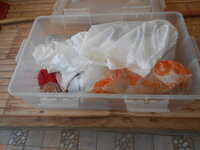 DSCN2835.JPG