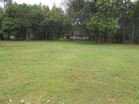 DSCN2848.JPG