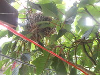 DSCN2766.JPG
