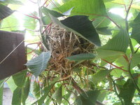 DSCN2767.JPG
